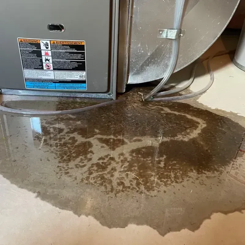 Appliance Leak Cleanup in Alleghenyville, PA